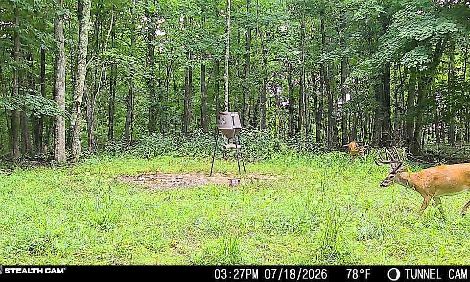 1st image of 1271A Tunnel Ridge Rd