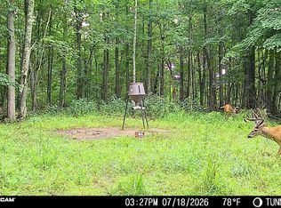 1271A Tunnel Ridge Rd, Argillite, KY 41121