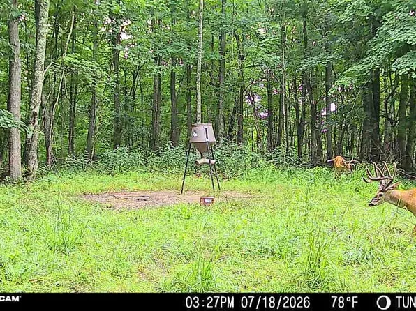 1271A Tunnel Ridge Rd, Argillite, KY 41121