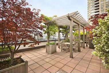 Roof Top Garden