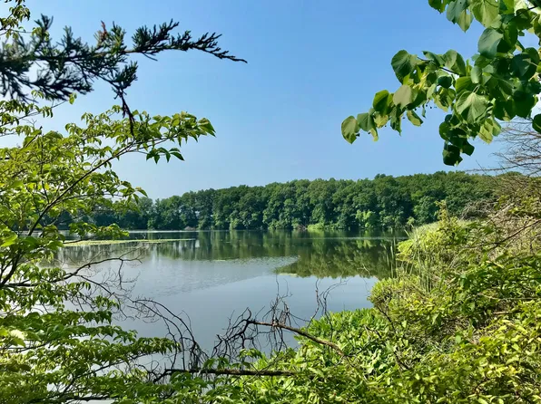0 Wakeman Rd, Mendon, MI 49072
