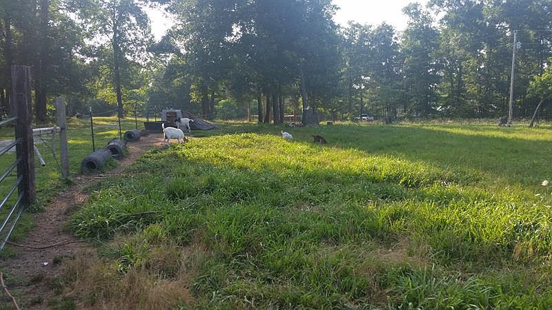 2nd image of 216 County Road 319a