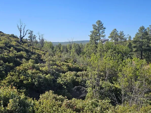 6303 Deer Run Road #398, Show Low, AZ 85901