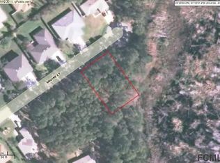 12 Squire Ct, Palm Coast, FL 32164