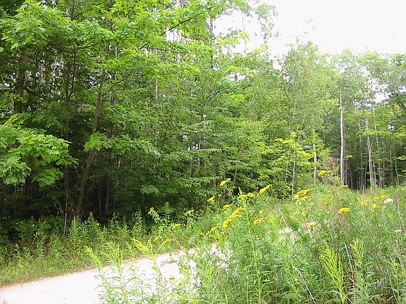 Forest Drive