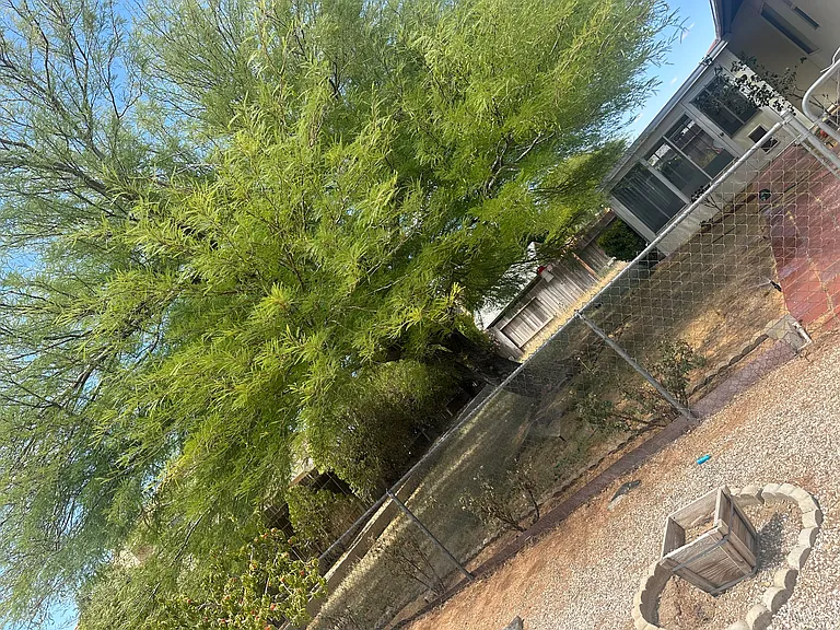 12802 Dillon Ln — Photo 15