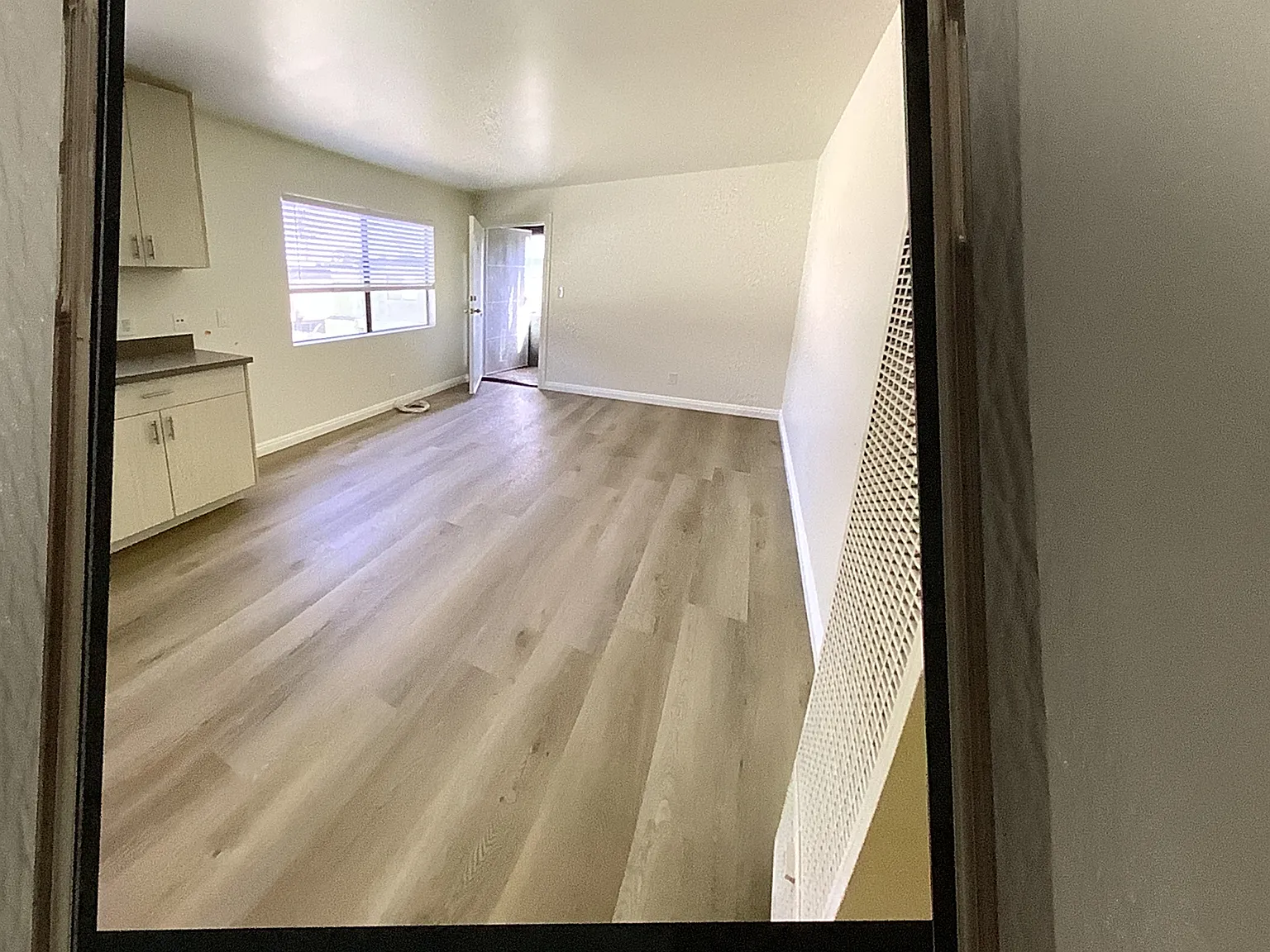 1 bed, 565 sqft, $1,850 — Photo 4