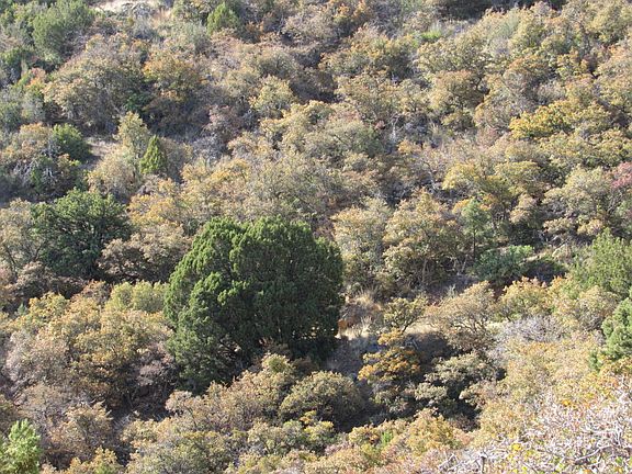 3rd image of 22560 S Gladiator Mine Rd