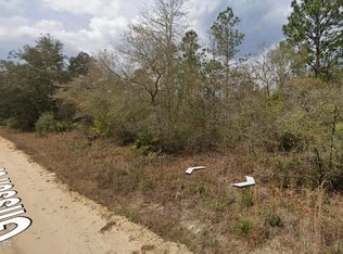 00 GLISSON Street, Interlachen, FL 32148