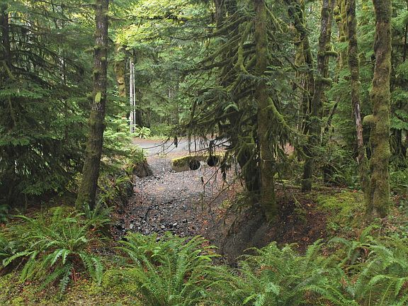 2nd image of Nka Camp David Jr Rd