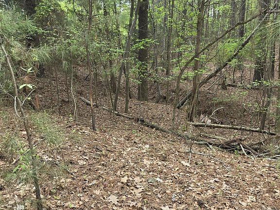 4th image of 2093 Lometa Rd