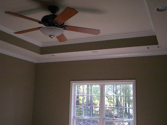 Master Box Ceiling/Fan