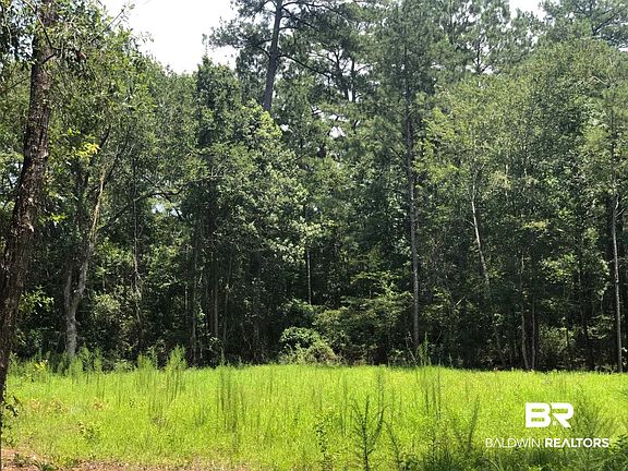 4th image of 10280 Old Stage Rd