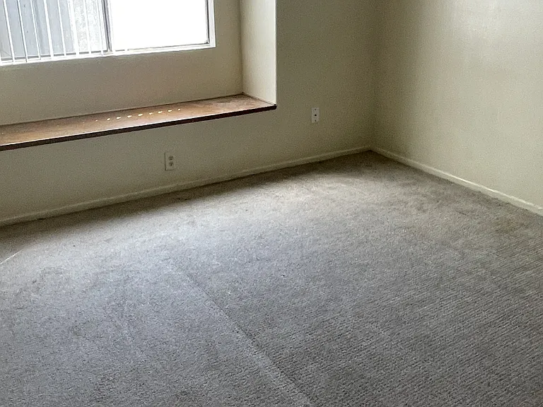707 S Webster Ave #108 — Photo 14