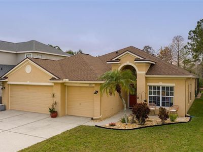 3203 Sago Point Ct, Land O Lakes, FL, 34639