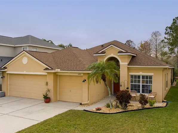 3203 Sago Point Ct, Land O Lakes, FL 34639
