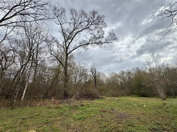 10 Neuman St, Coldspring, TX 77331