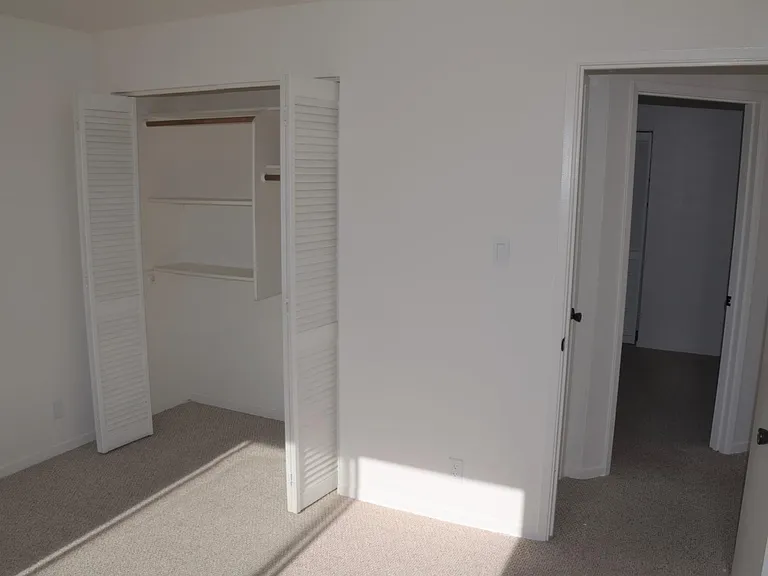 239 Dorado Ter — Photo 18