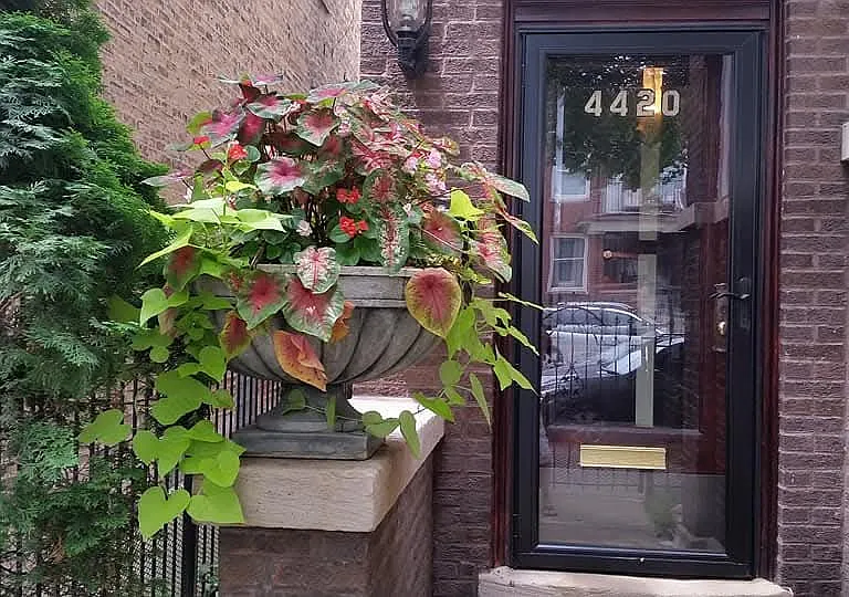 4420 N Kimball Ave — Photo 8