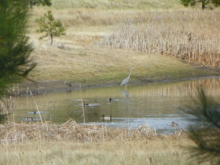 2013 E Sierra Pine Loop — Photo 31