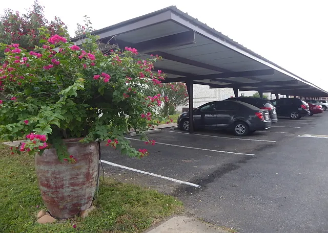 Paseo Del Sol — Photo 4
