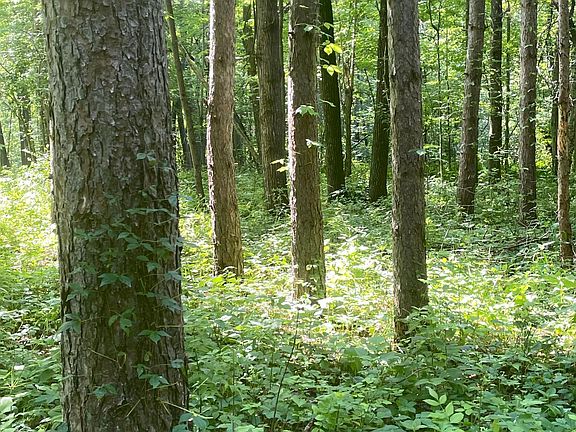 4th image of Brown Ln
