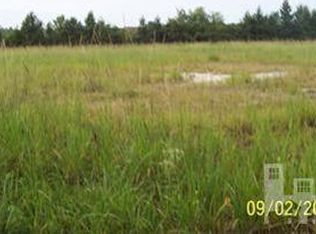 1 Coras Grove Rd, Willard, NC 28478