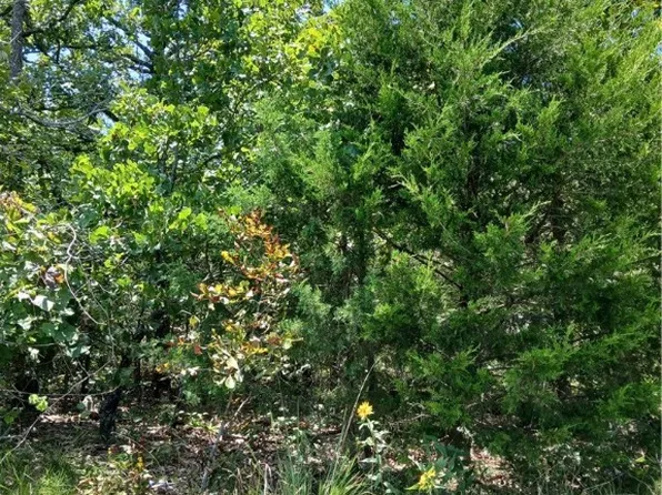 Ben Nevis, Mountain Home, AR 72653