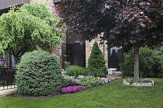 Front View