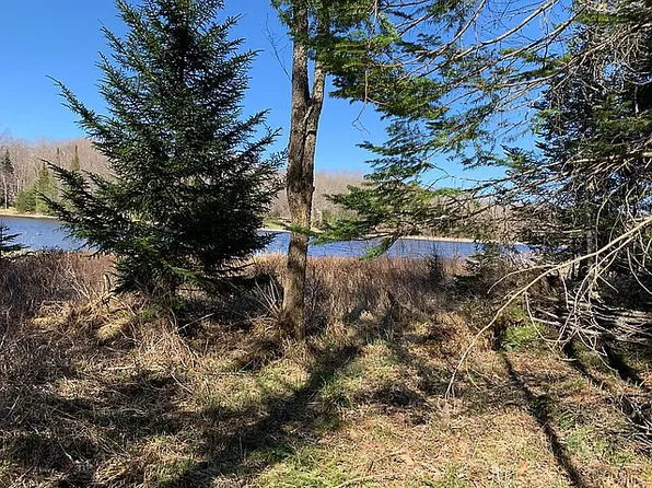 1672 Goodnow Flow Rd, Newcomb, NY 12852