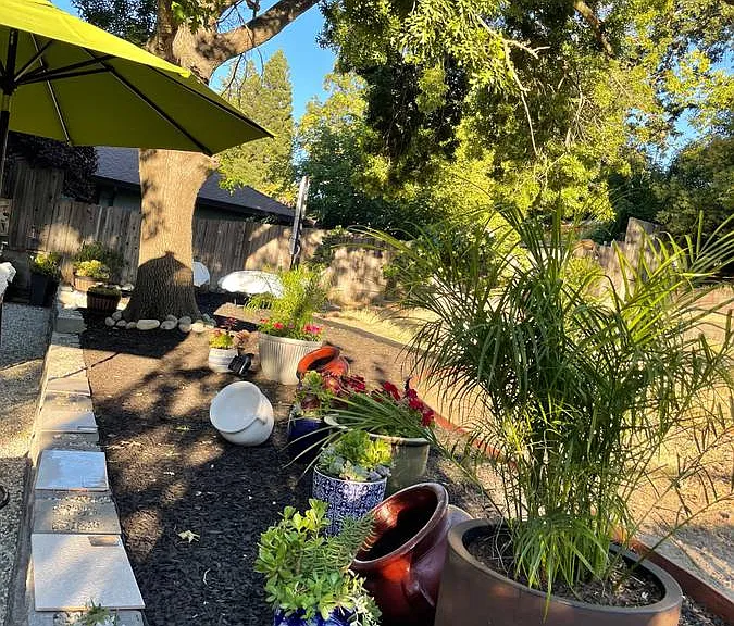 Reetey Ave — Photo 8