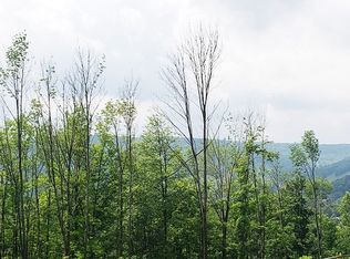 7 Rogers #25, Ellicottville, NY 14731