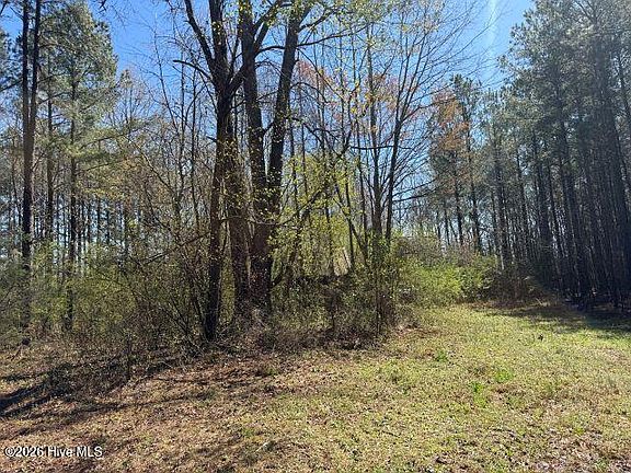 4th image of 358 Flat Branch Road