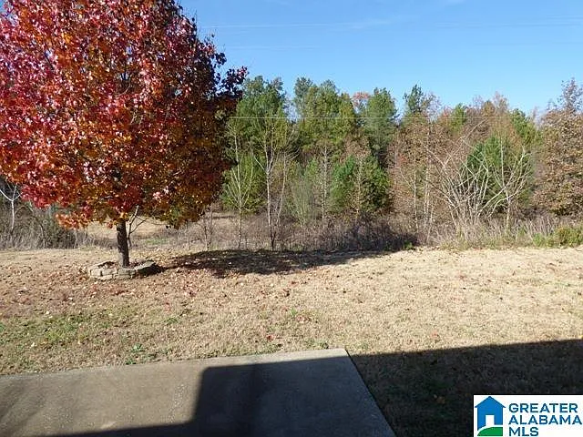 4124 Old Cahaba Pkwy — Photo 8