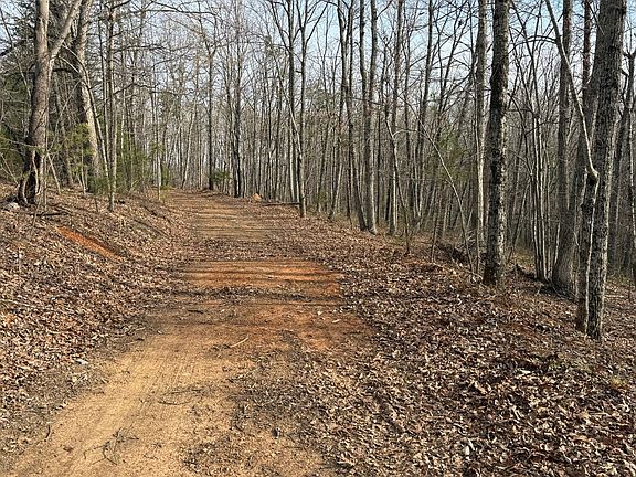 3rd image of Lime Plant Rd #6