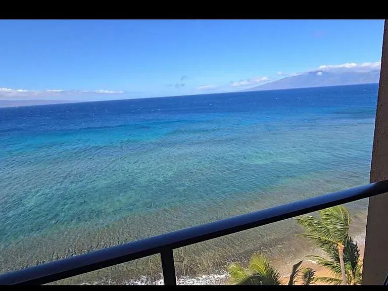 Window View