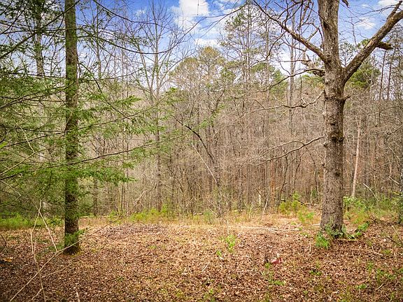 4th image of 10042 Doublehead Gap Rd