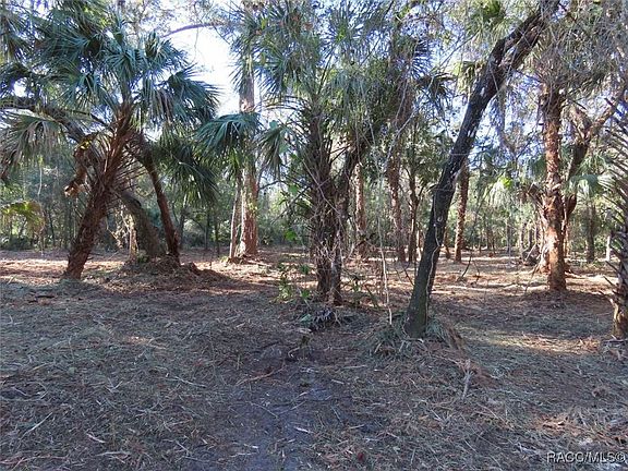 4th image of 9022 N Cacalia Dr