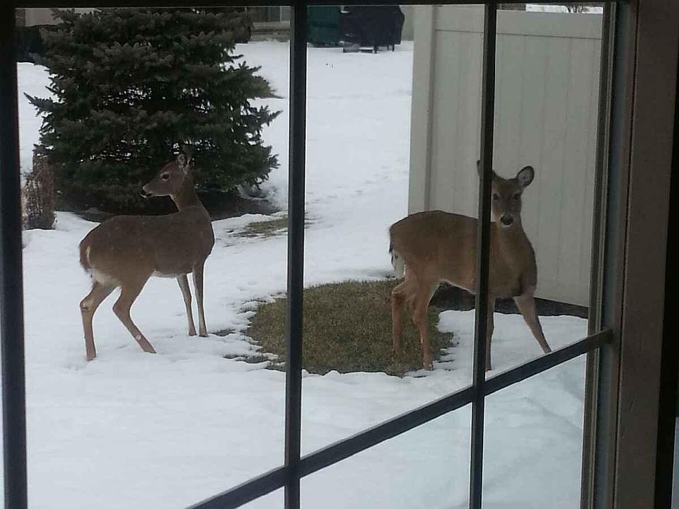 Nature at your doorstep