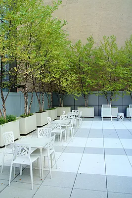 Rented by Owner | media 14