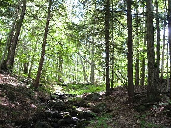 4th image of N. Side Moose River Road