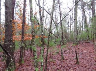 Pisgah Rd, Ellijay, GA 30536