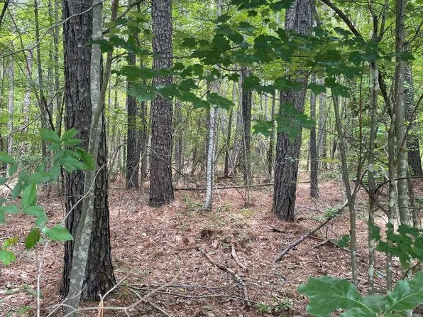 5903 Whitmire Hwy, Whitmire, SC 29178