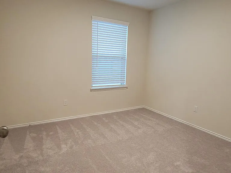 509 Black Alder St — Photo 19