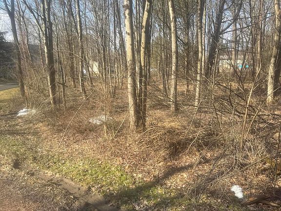 3rd image of B14 Walnut Rd #B