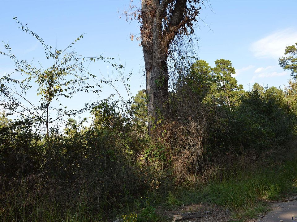 2nd image of Lassater Rd