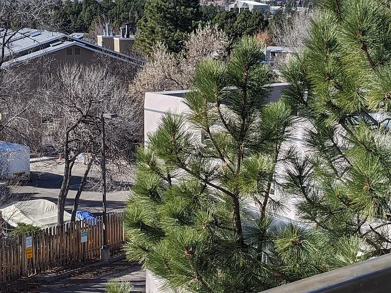 557 Oppenheimer Dr #301 — Photo 12