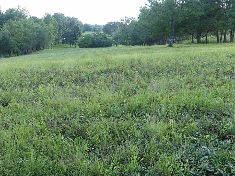 1st image of 184 County Road 437