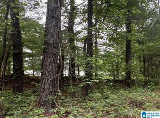 0 County Road 400 Lot 1, Shelby, AL 35143