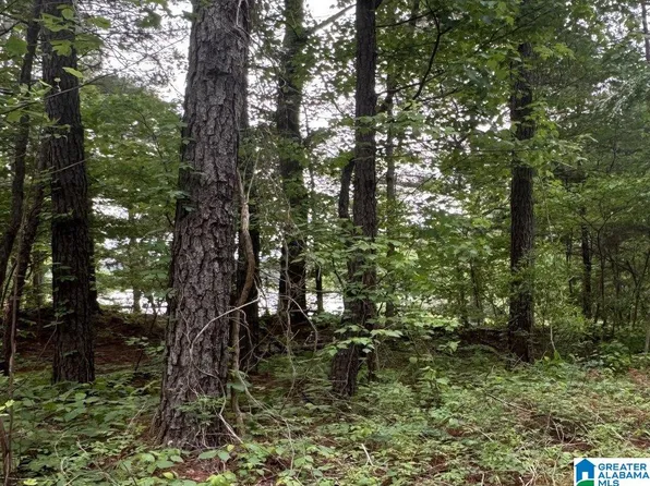 0 County Road 400 Lot 1, Shelby, AL 35143